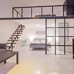 Industrial Double Loft