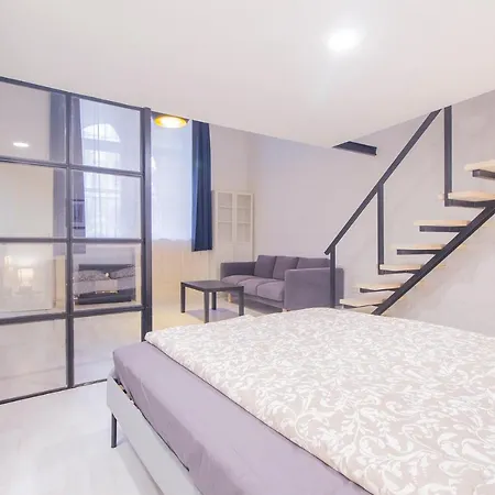 Industrial Double Loft Appartement