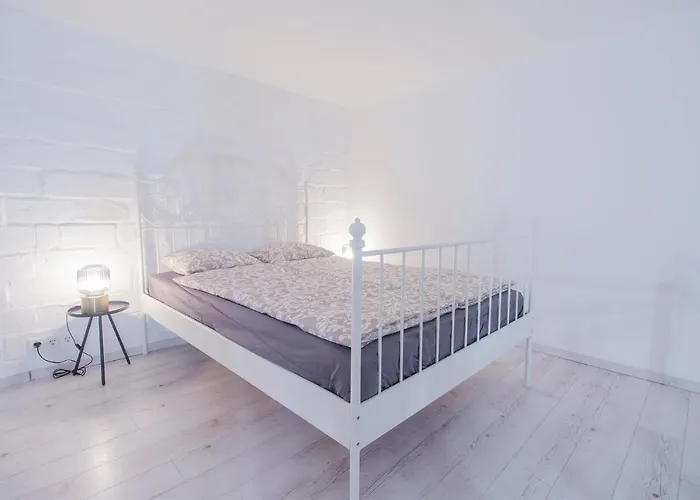 Industrial Double Loft شقة بودابست